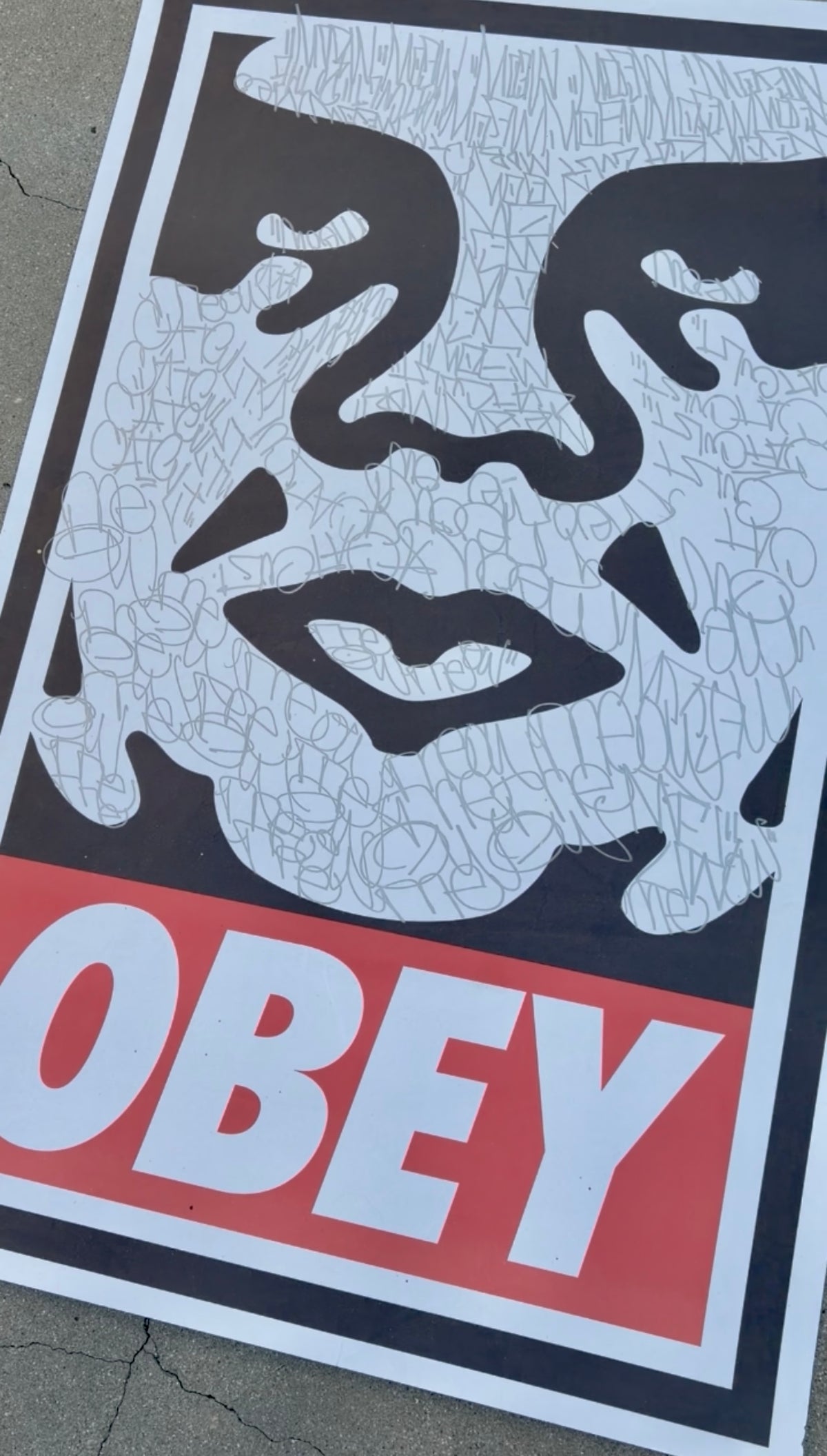 Cat Gods Tagged Obey Print