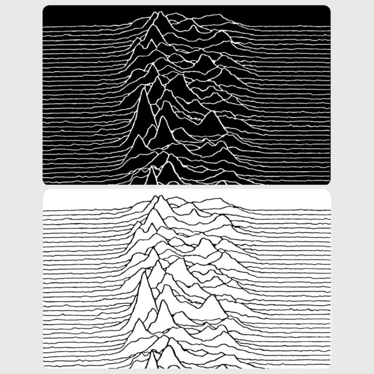 Joy Division Blanks
